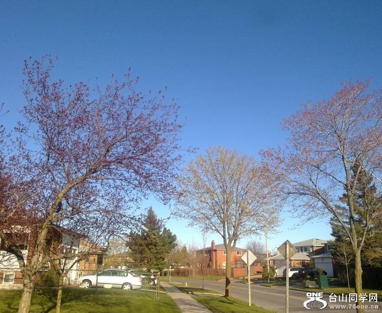 20120406286_conew1.jpg