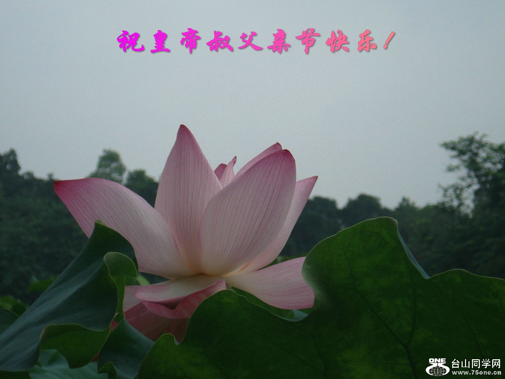 DSC00062.jpg