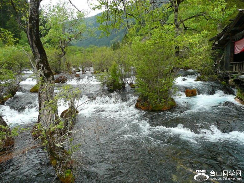 p1010040_.jpg