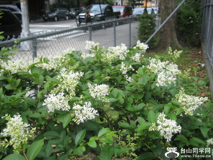 IMG_0001_679.jpg