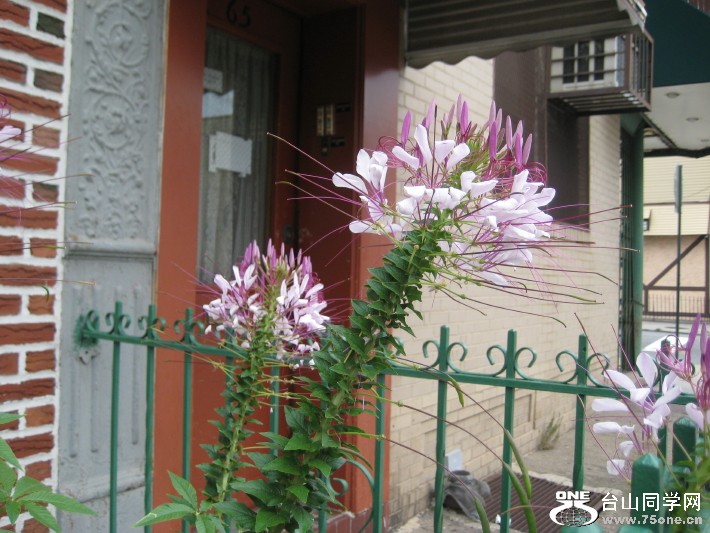 IMG_0001_655.jpg