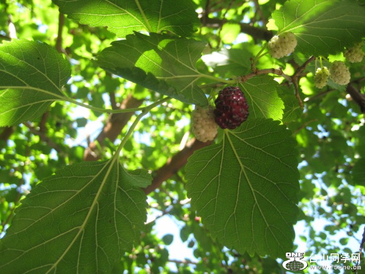 IMG_0001_674.jpg