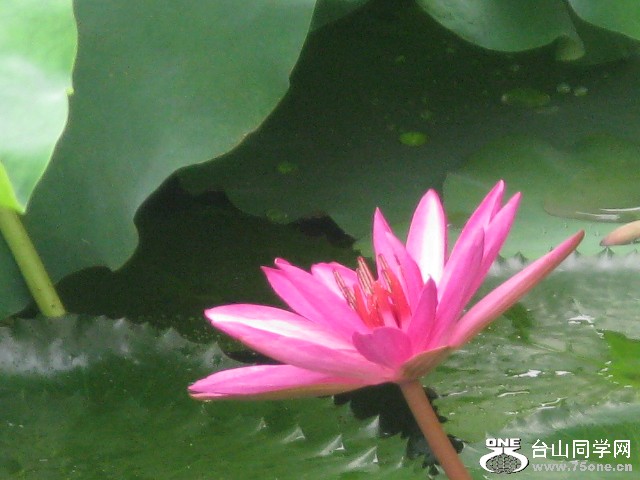 IMG_3206.jpg