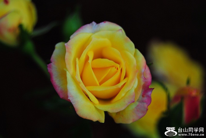 DSC_3092.JPG