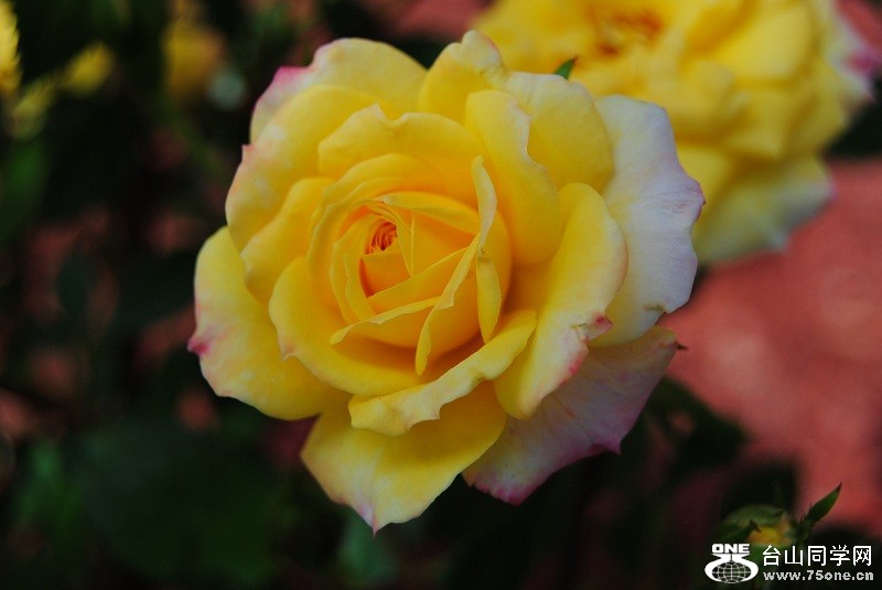 DSC_3108.JPG