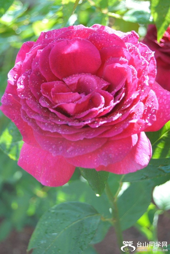 DSC_3041.JPG