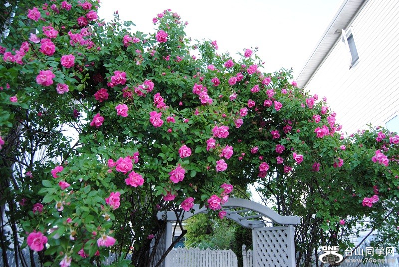DSC_3077.JPG