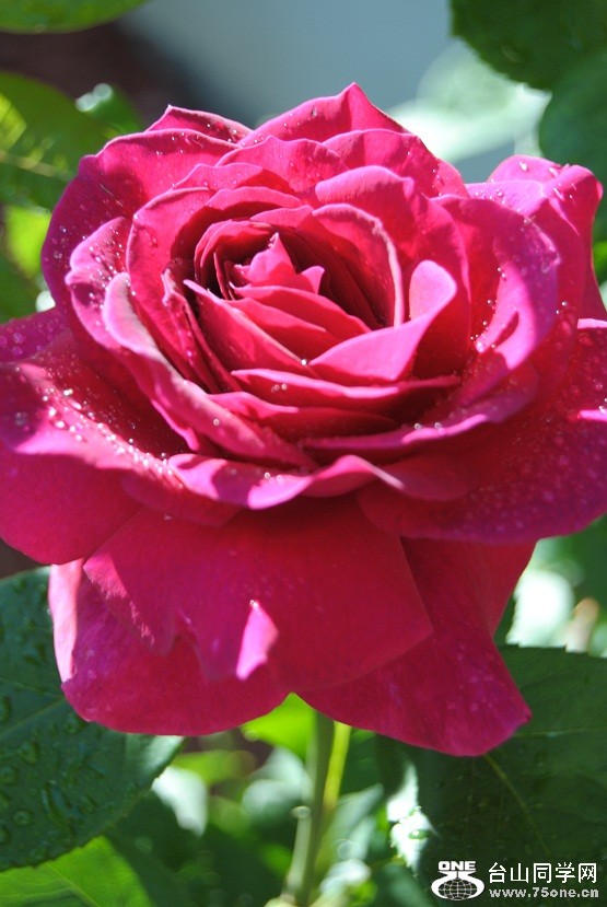 DSC_3038.JPG