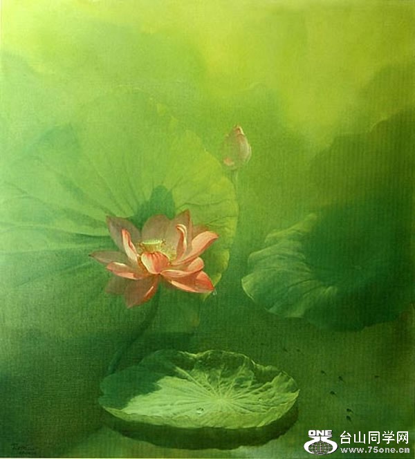 6a77a719jw1dtgs0kh87ij.jpg