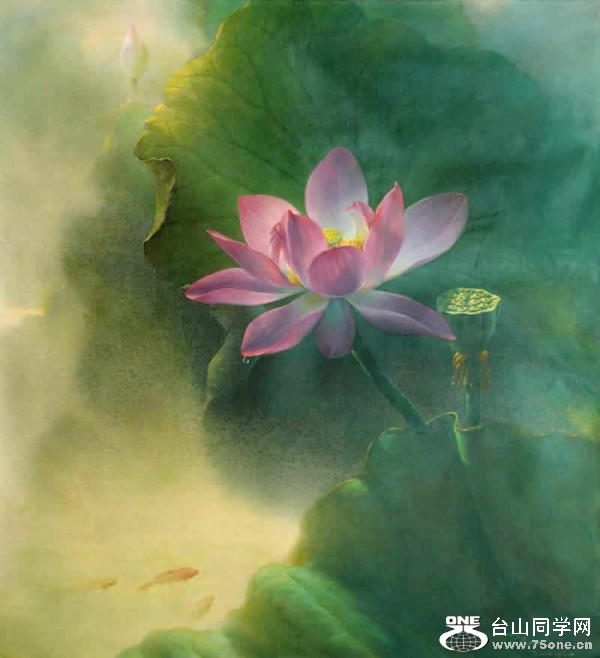 6a77a719jw1dtgrxkpryuj.jpg