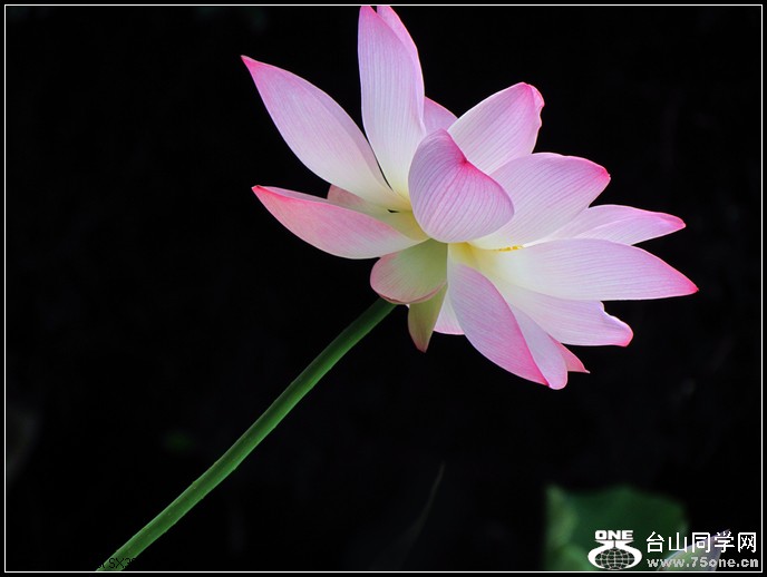 ٿ 097.jpg