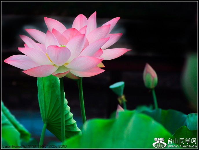 ٿ 036.jpg