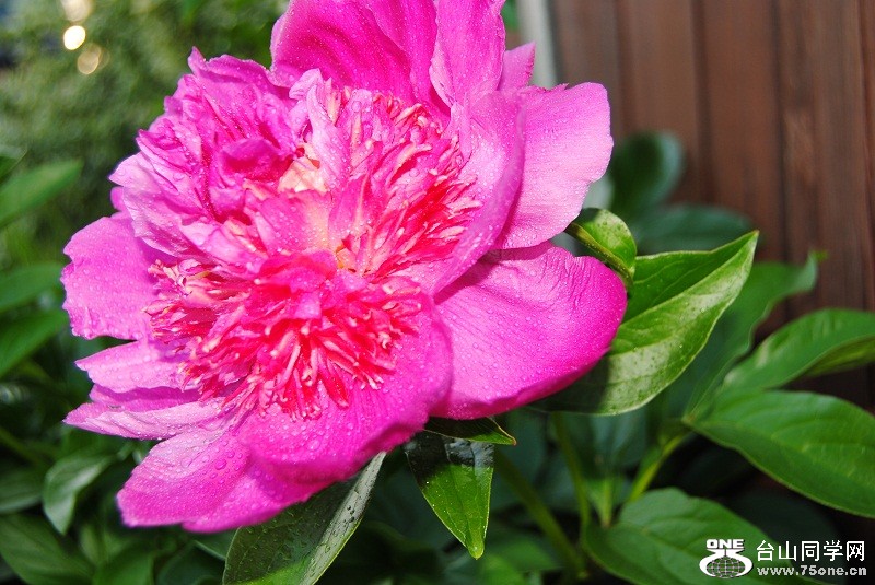 DSC_2889.JPG