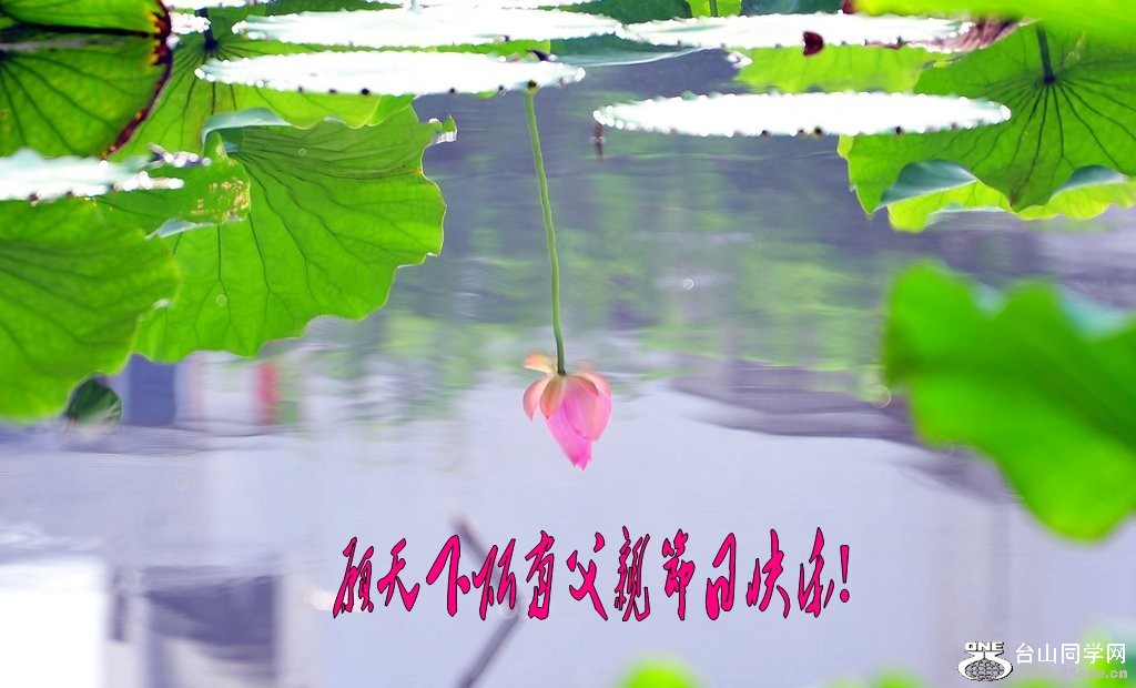DSC_2182_conew1.jpg