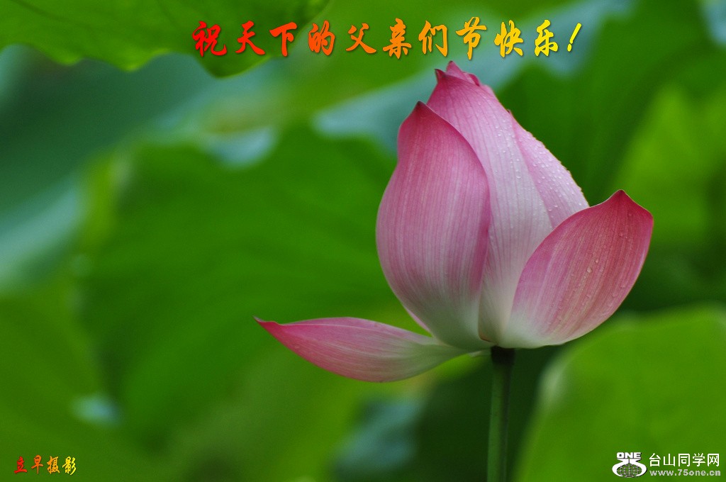 DSC_0764w.jpg