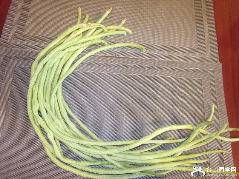 6297.jpg