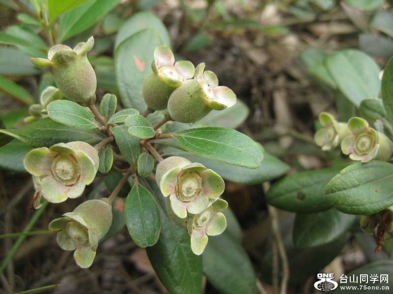 2012.6.4. 021.jpg