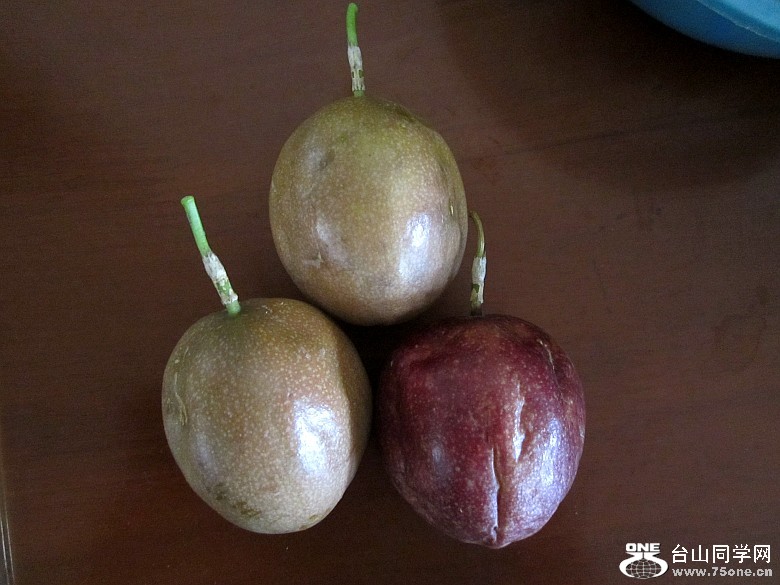 ͵ 086_conew1.jpg