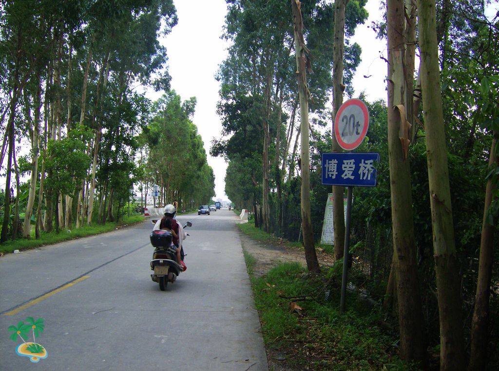 HPIM9398.jpg HPIM9398.jpg