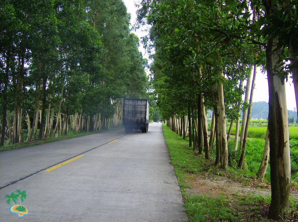 HPIM9397.jpg HPIM9397.jpg