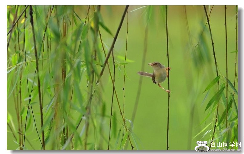 nEO_IMG_DSC_2062.jpg