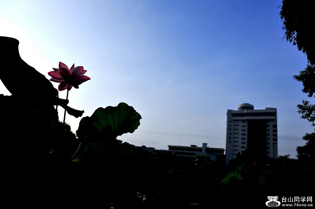 DSC_2297.jpg