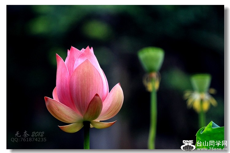 IMG_6285X.jpg