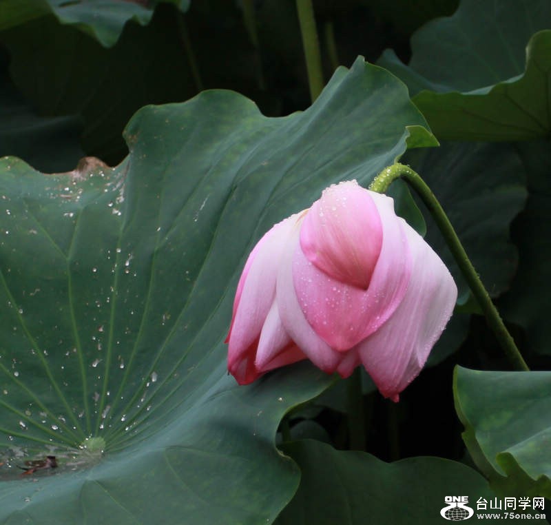 IMG_5587_conew1.jpg