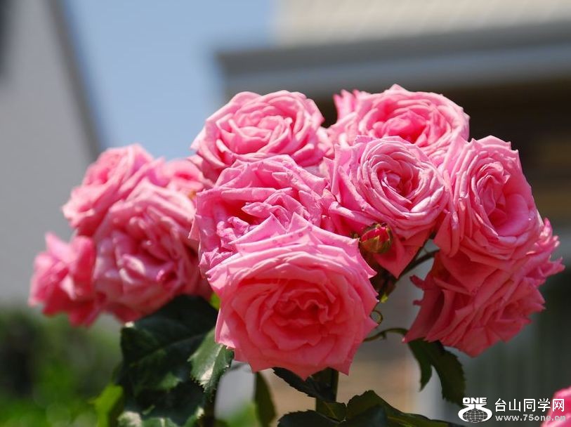 nEO_IMG_DSC_0421.jpg