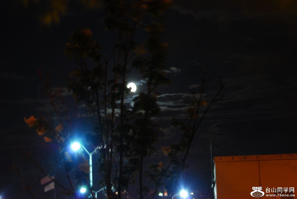 nEO_IMG_DSC_0136.jpg