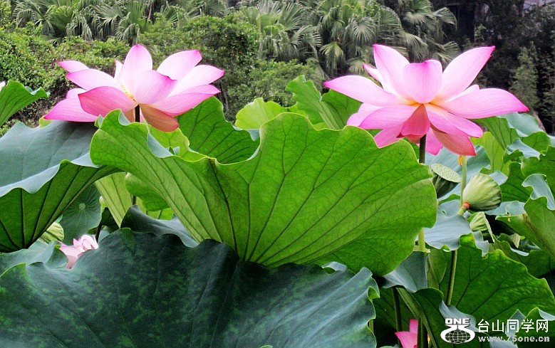 ġɻѧУ12.6.9 140_conew1.jpg