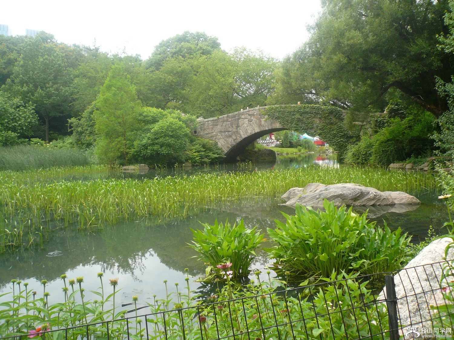 P1050511 - Copy.JPG