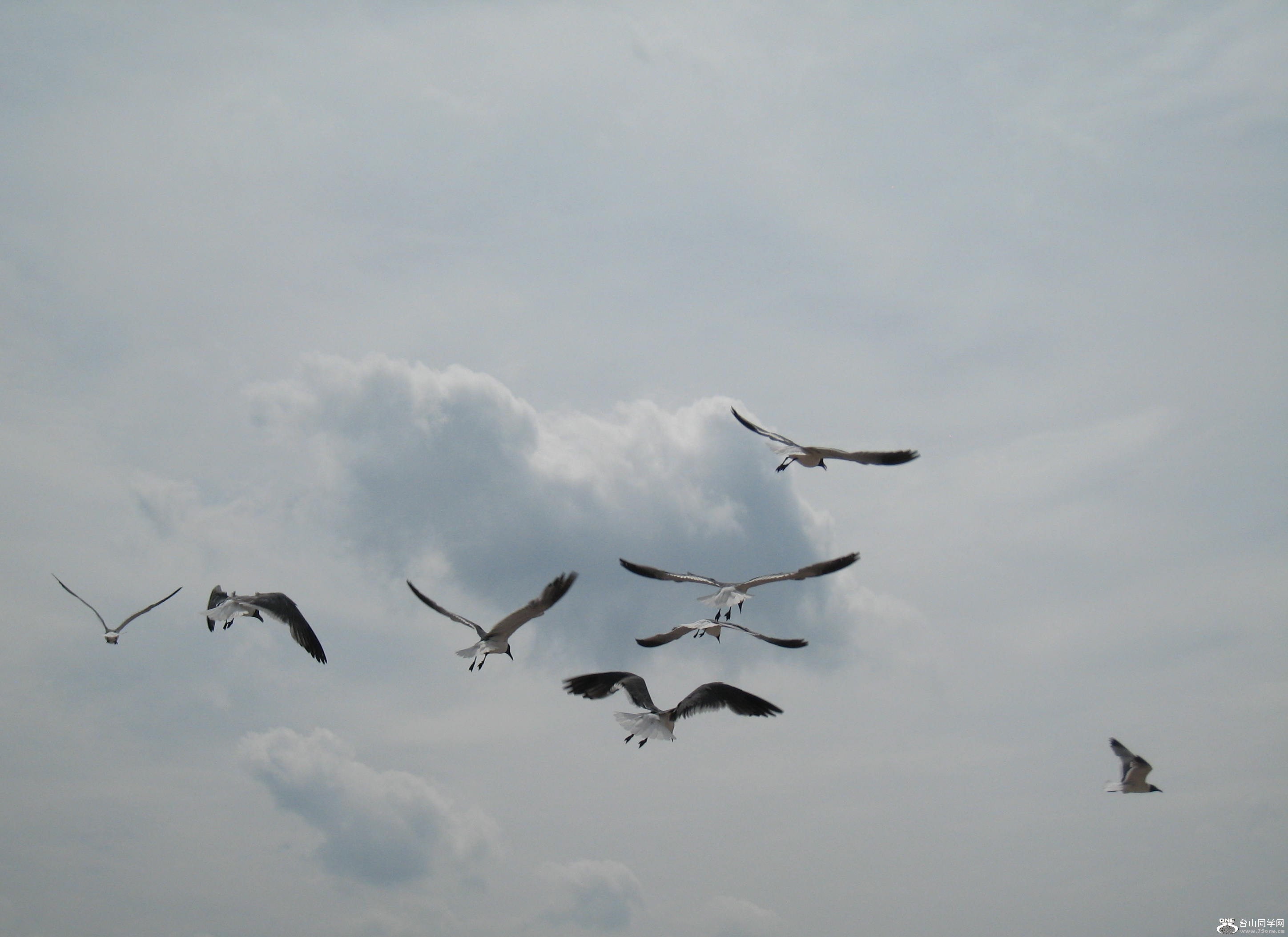 IMG_6563.JPG