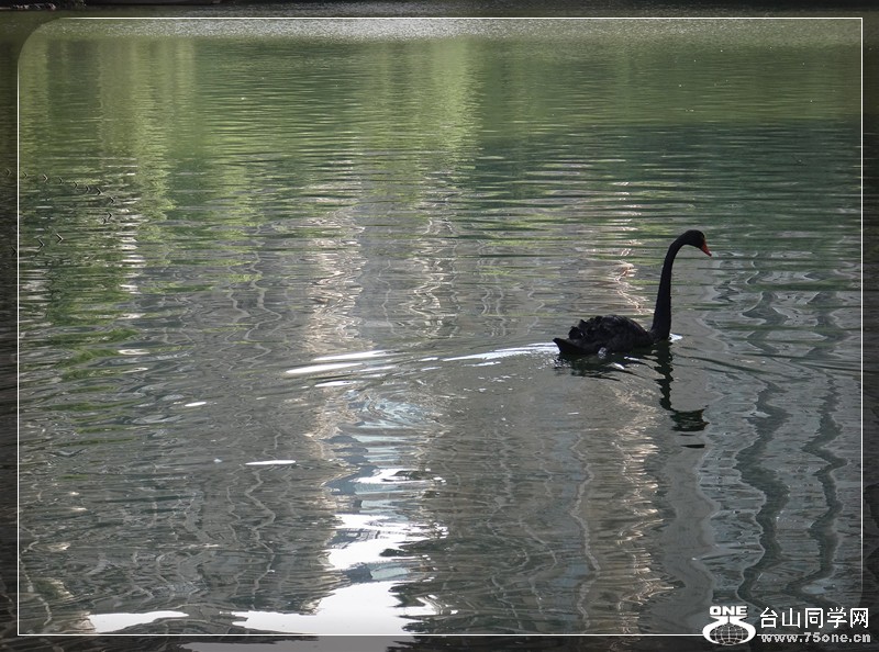dsc00396_.jpg