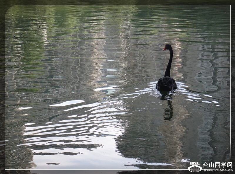 dsc00395_.jpg