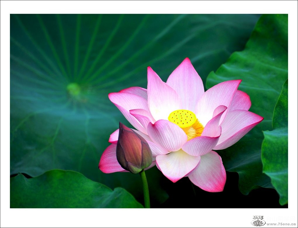 nEO_IMG_DSC_1541_conew1.jpg