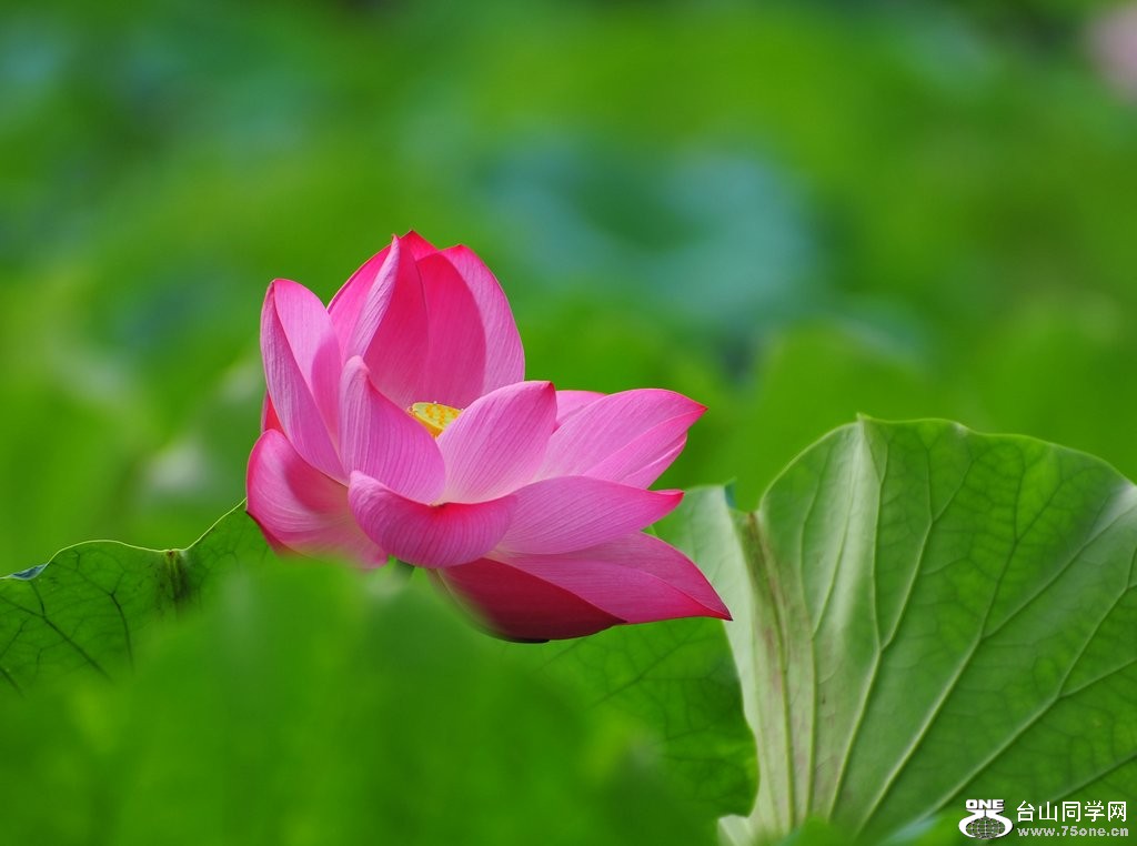 DSC_2171.jpg