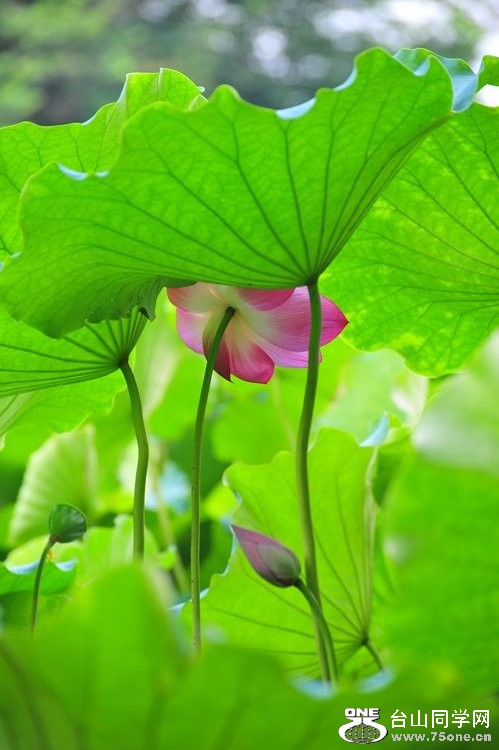 nEO_IMG_DSC_2382.jpg