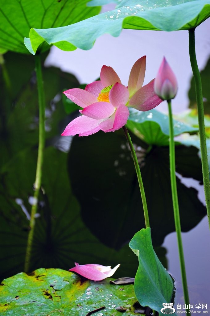 DSC_3008.jpg