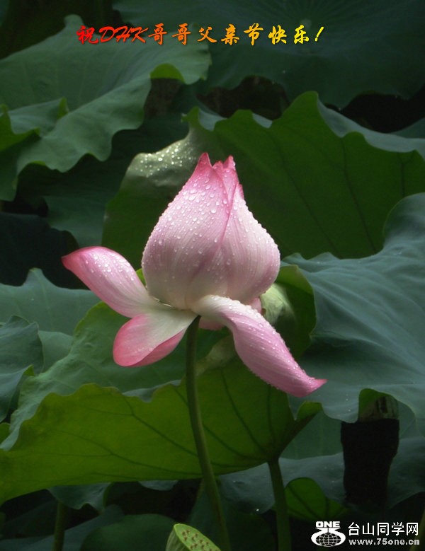 DSC_2023.jpg