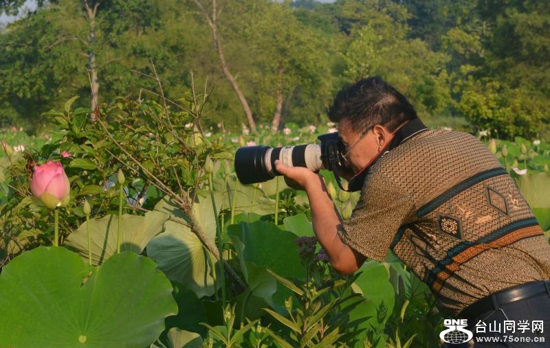 6-21-2012 Flowers 015.jpg