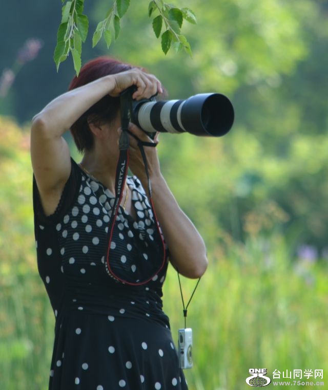 6-21-2012 Flowers 285.jpg