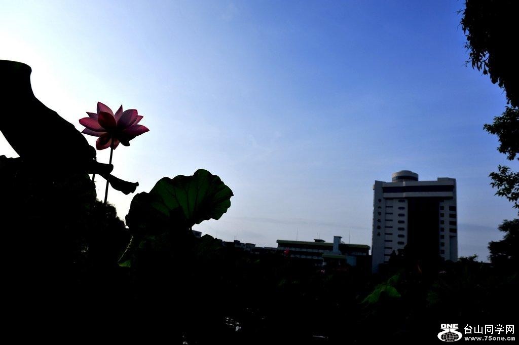 2_2459_cc930b6c949b3d1.jpg