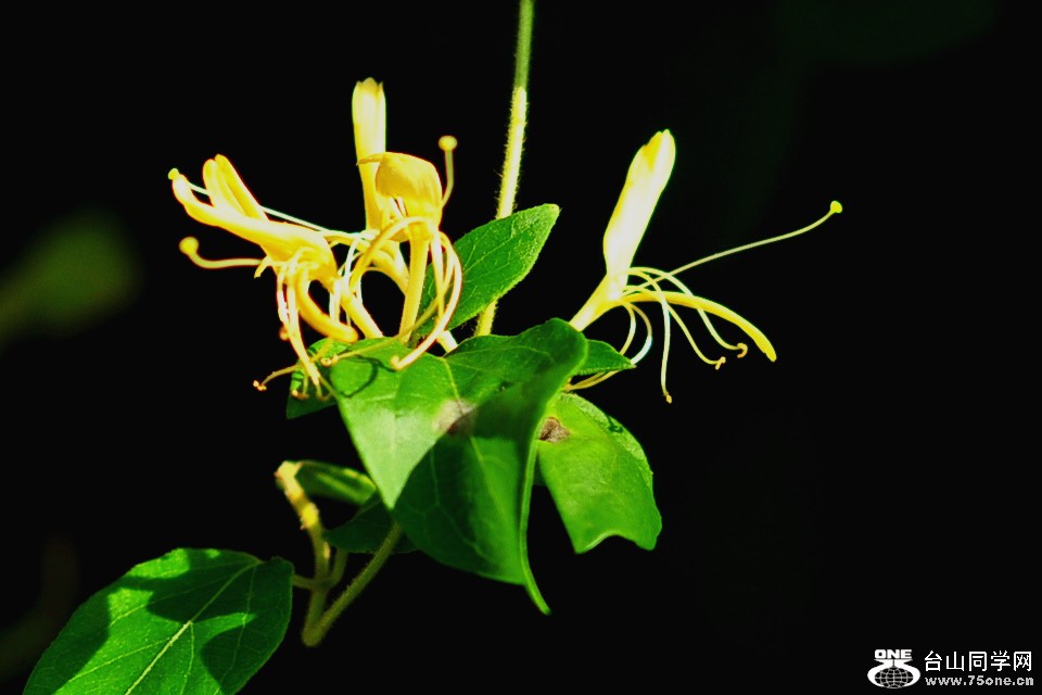 CSC_0566_.jpg