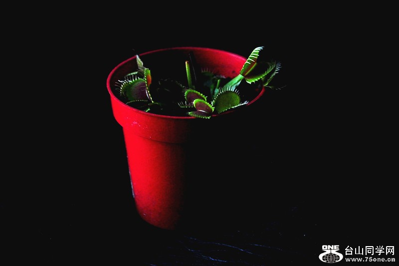 CSC_0260_.jpg