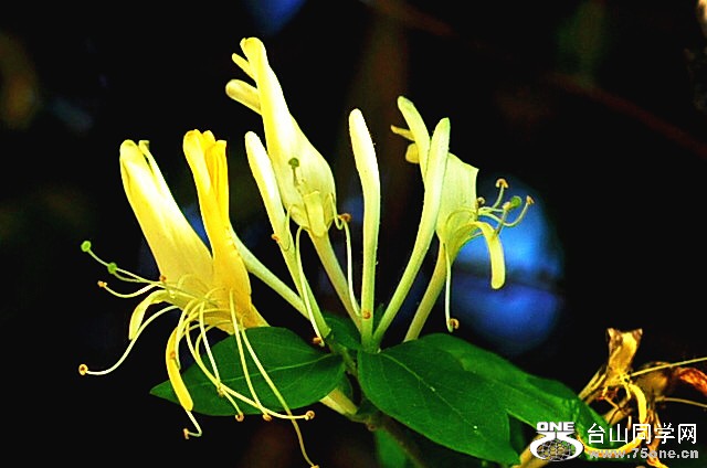 CSC_0565_.jpg