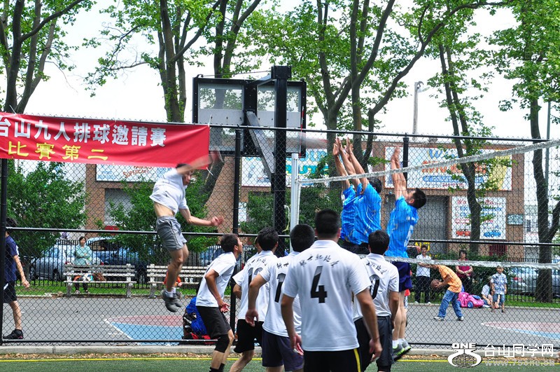 DSC_0206_.jpg