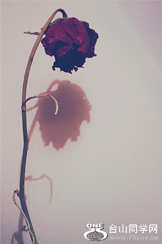 2000.jpg