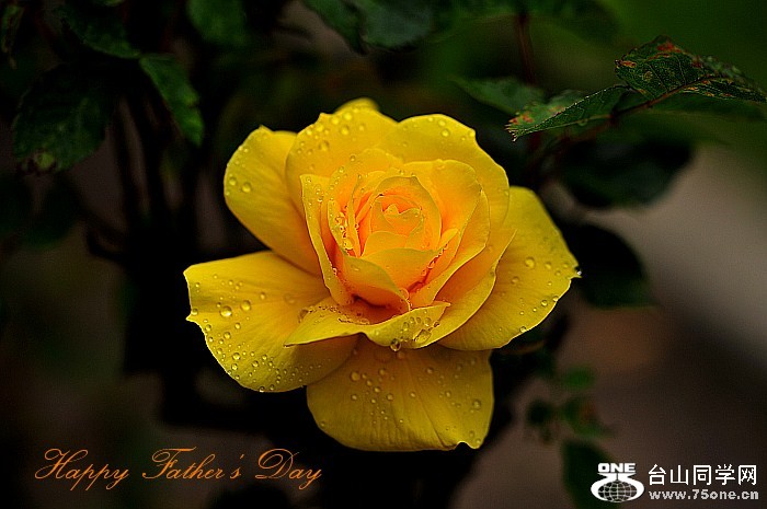 DSC_5912_.jpg