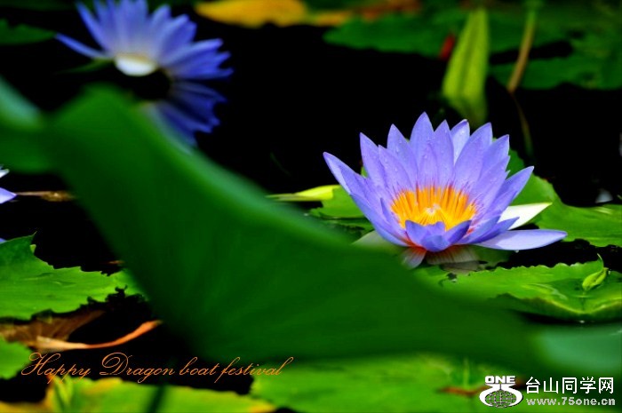 DSC_5950_conew1_.jpg